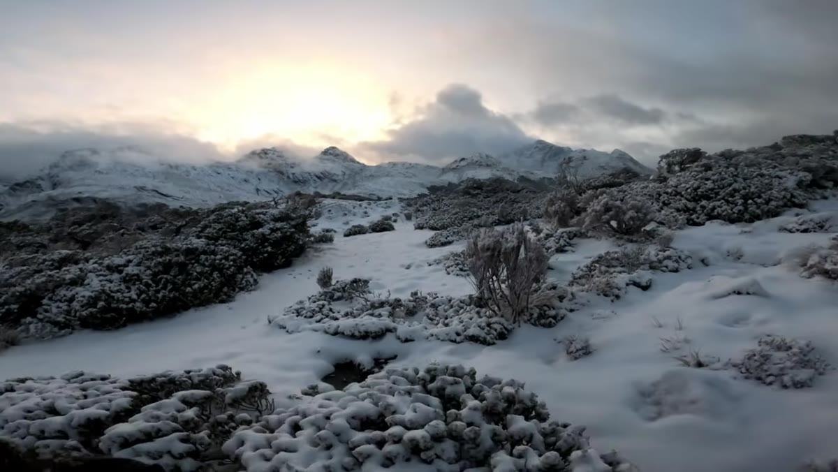 Hiking through snow toward the target forest location at dawn