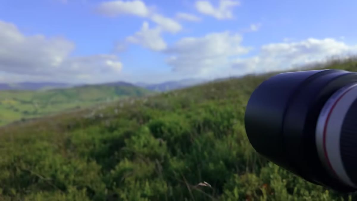 Camera on tripod low to ground aimed at cotton grass and mountains