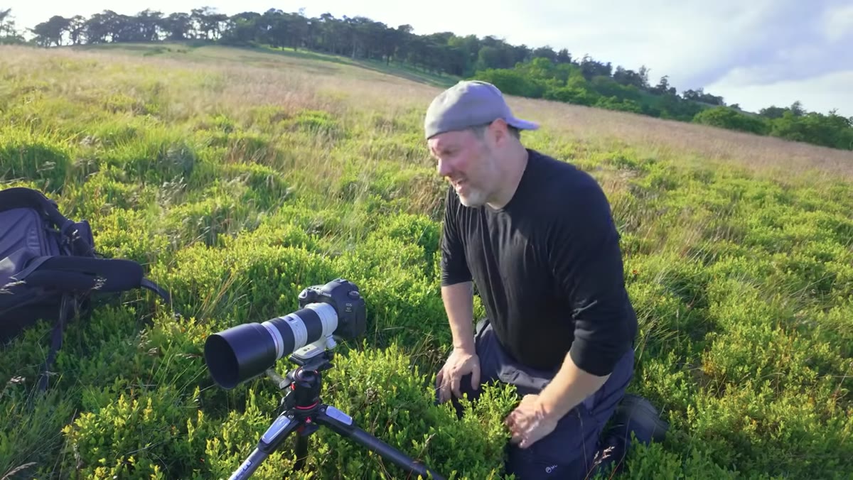 Photographer firing multiple frames while cotton grass sways