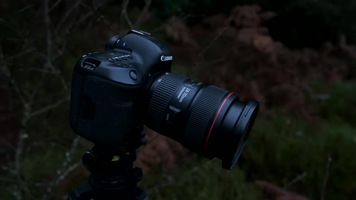 Camera with 24-70mm lens being raised to frame the tree