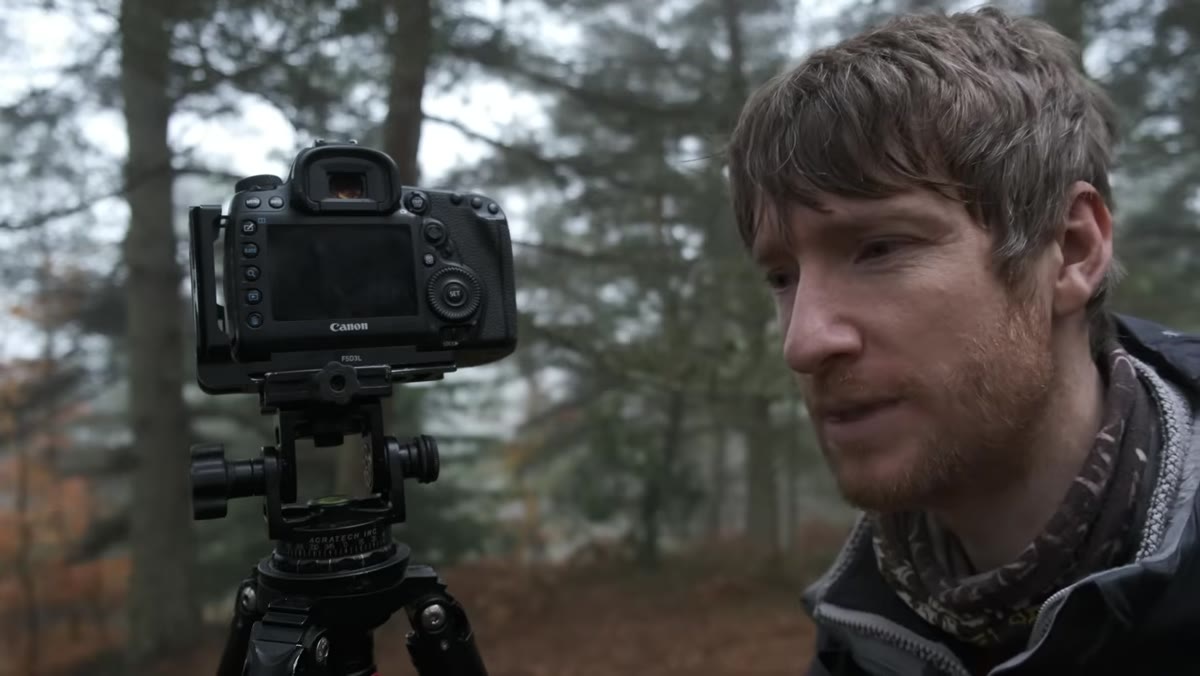 Camera settings shown, f/5.6 selected for pine tree shot