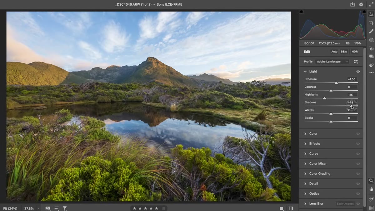 Shadows slider raised slightly in Basic panel