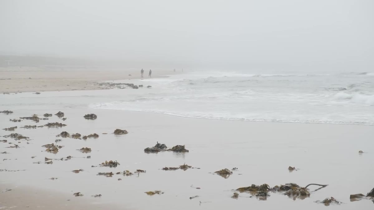 Foggy coastal conditions the photographer initially hoped to shoot