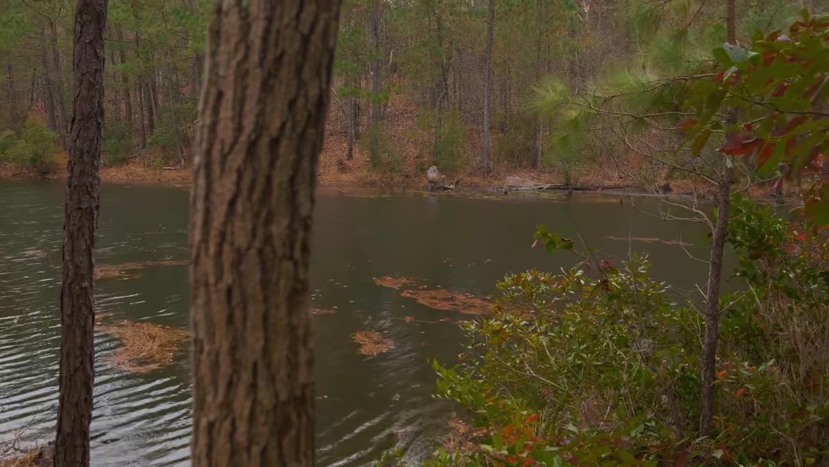 Blank white sky occupying upper half of frame