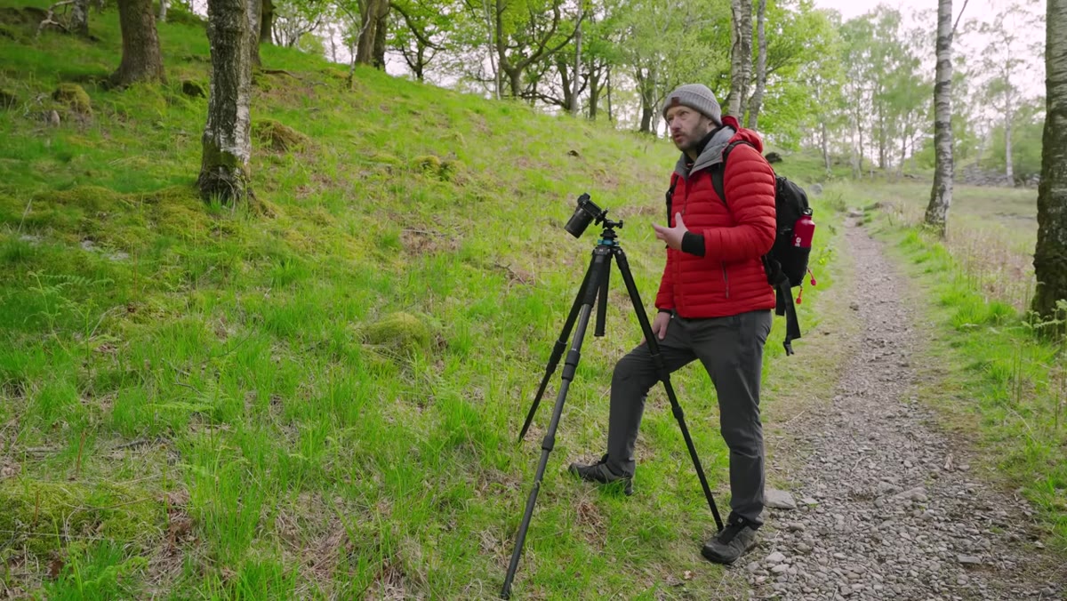 Danson shooting downward at unfurling ferns on the ground