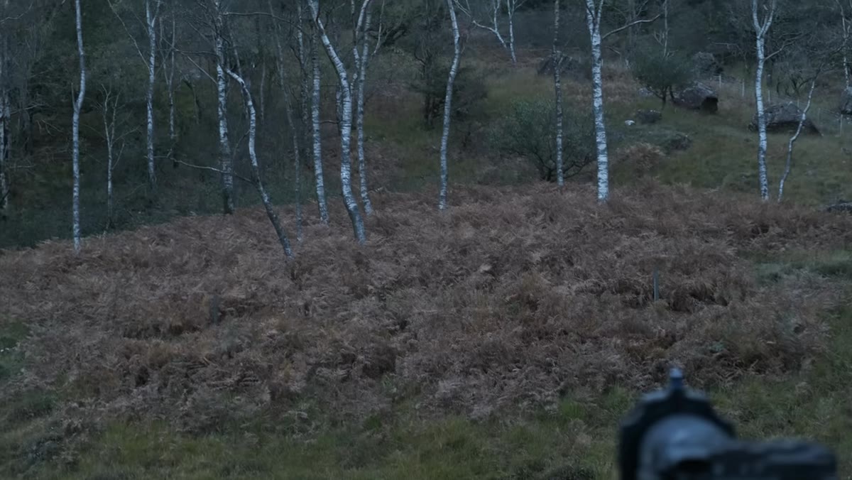 Heaton confirming focus on center birch tree, aperture at f/5.6