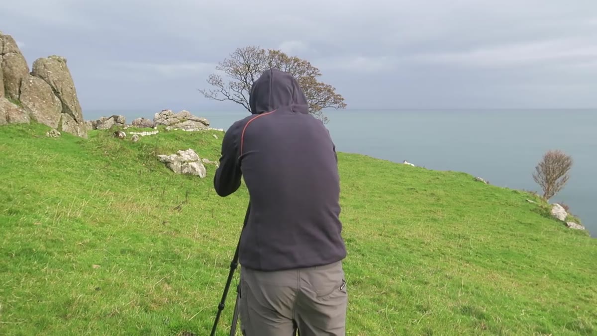 Wide frame showing rocks, tree, and grey sea together