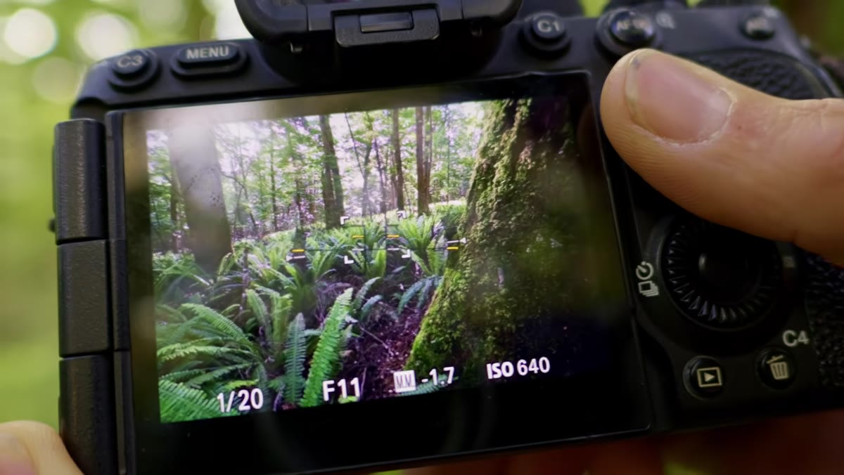 Focus point moved to foreground element, first frame being captured