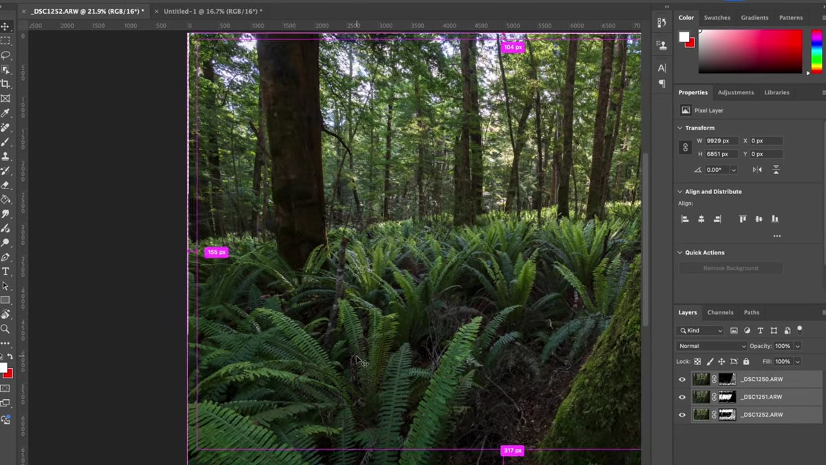 Photoshop canvas showing transparent edge areas after alignment