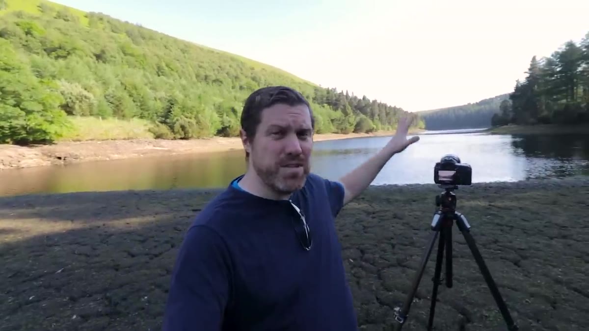 Photographer pointing toward trees with three distinct light zones visible