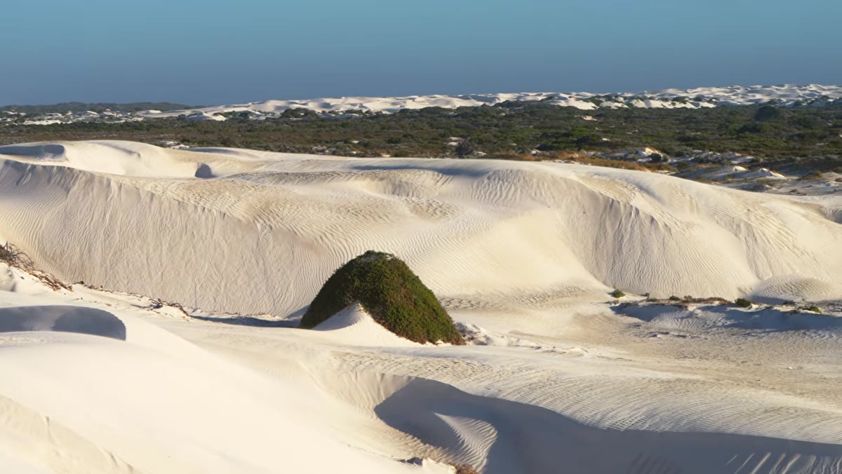 Photographer scanning dune surface for leading lines and texture patterns