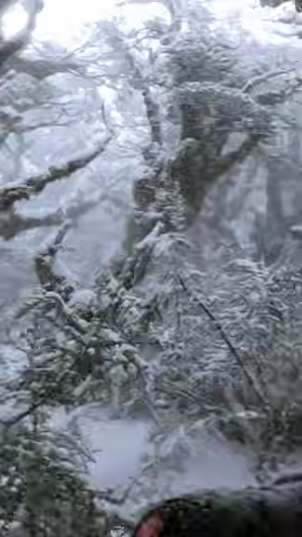 Snow beginning to fall, peaks softening into cleaner background