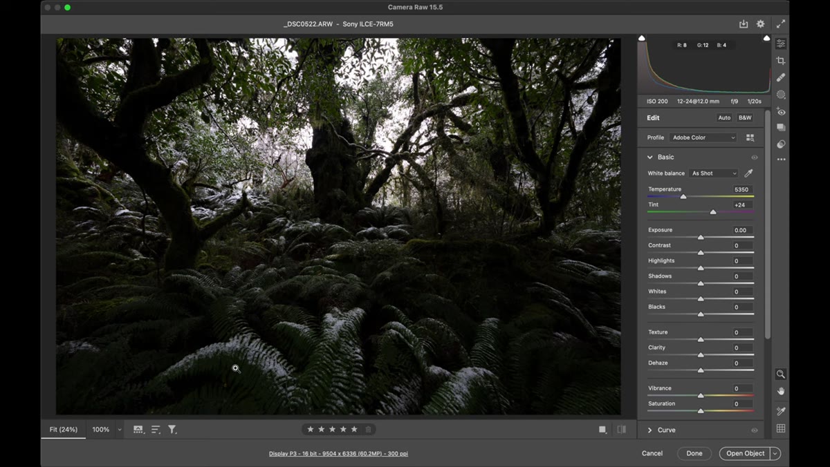 Raw file open in editing software showing blown highlights and dark shadows