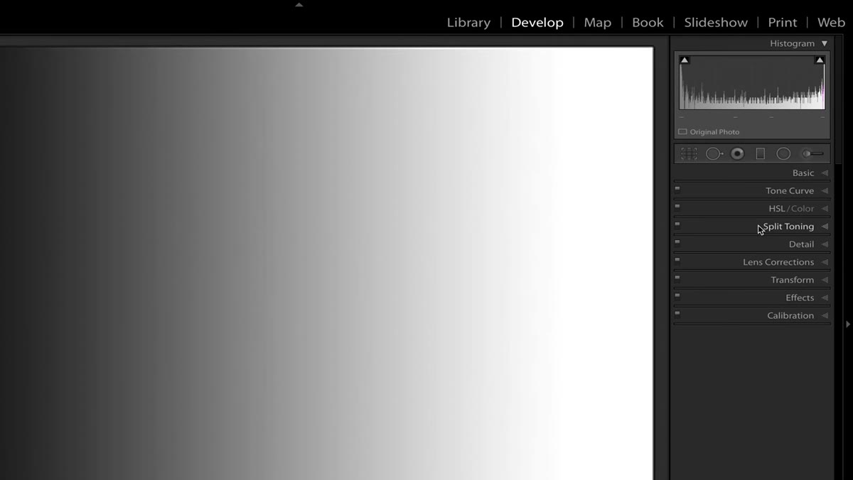Right-clicking the develop panel to access Customize menu