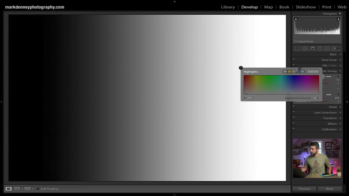Highlight color picker open in split toning panel