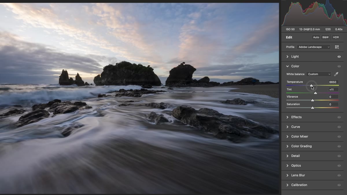 Vibrance and Saturation sliders in the Color panel