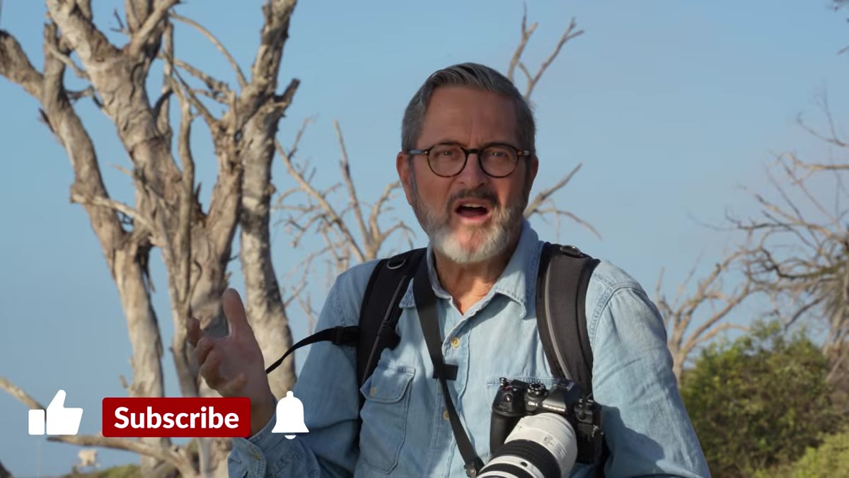 Photographer handholding the lens while shooting birds in the field