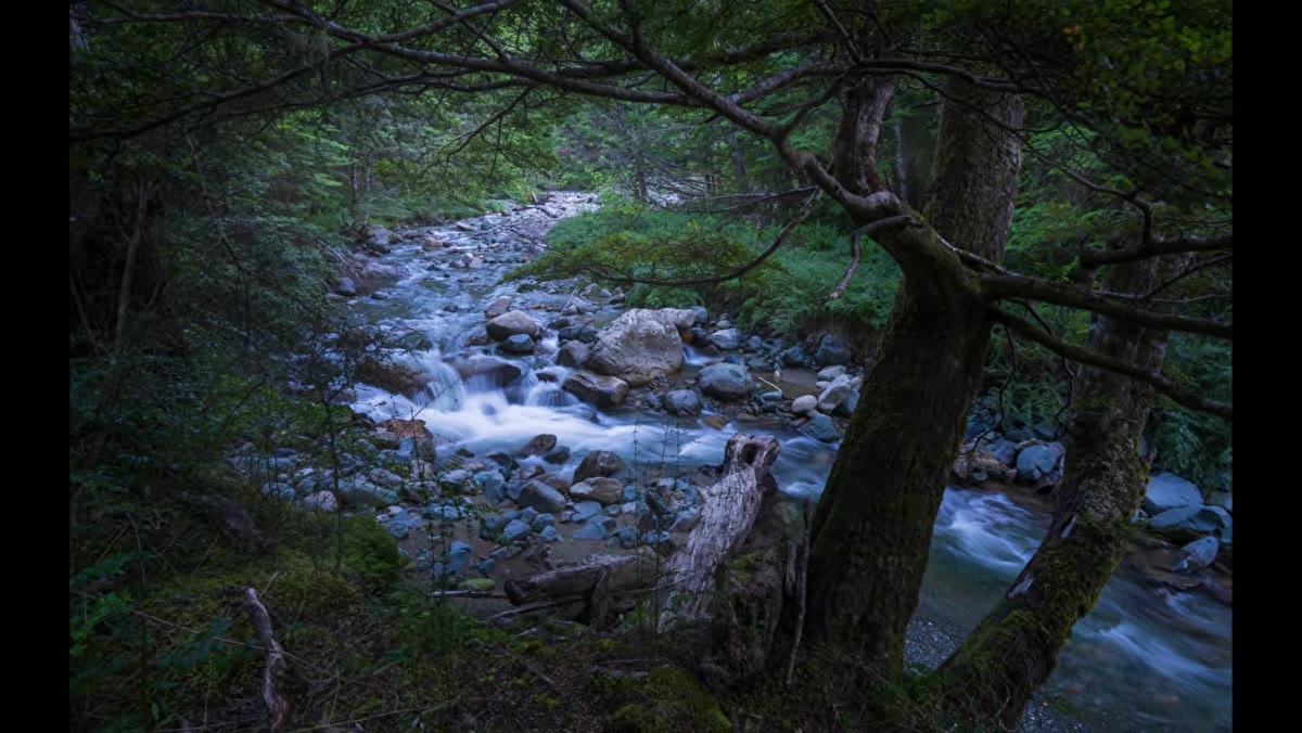 Photographer framing creek through gap in trees, exploring multiple angles