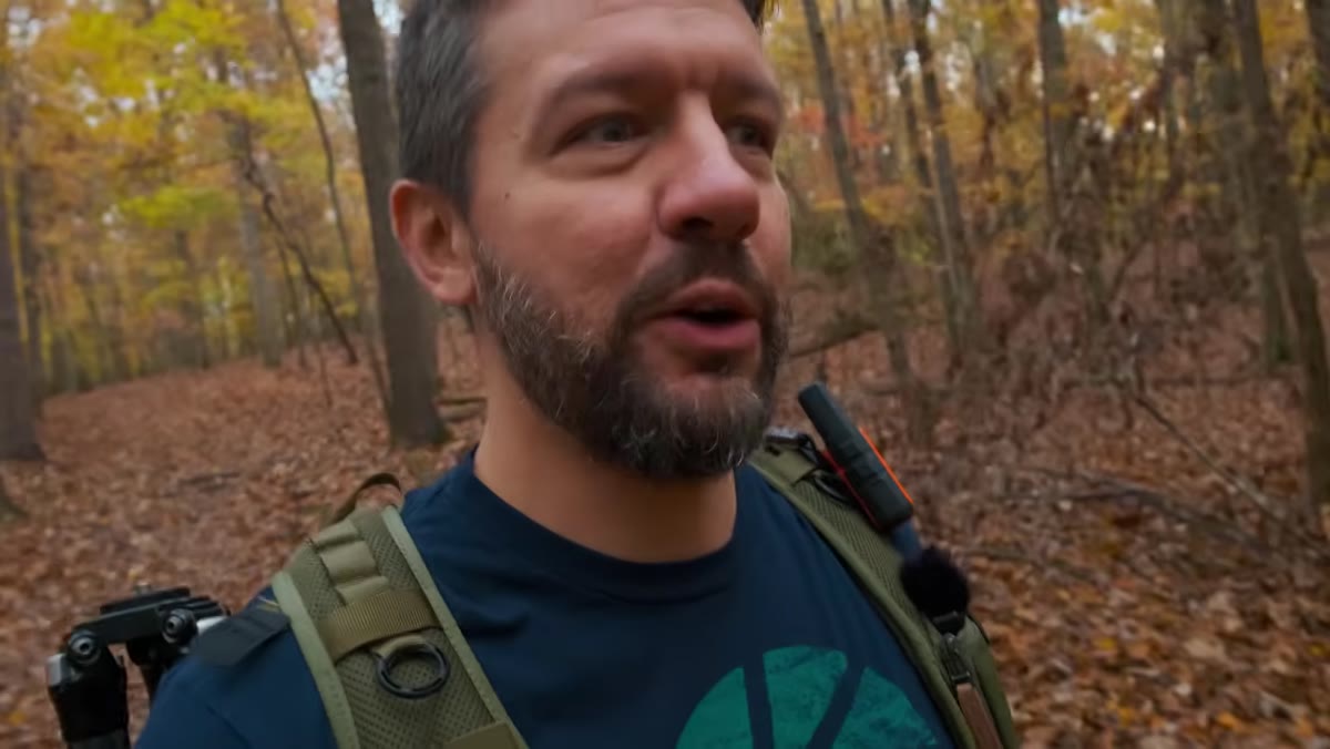 Mark walking through woodland looking for tree groupings