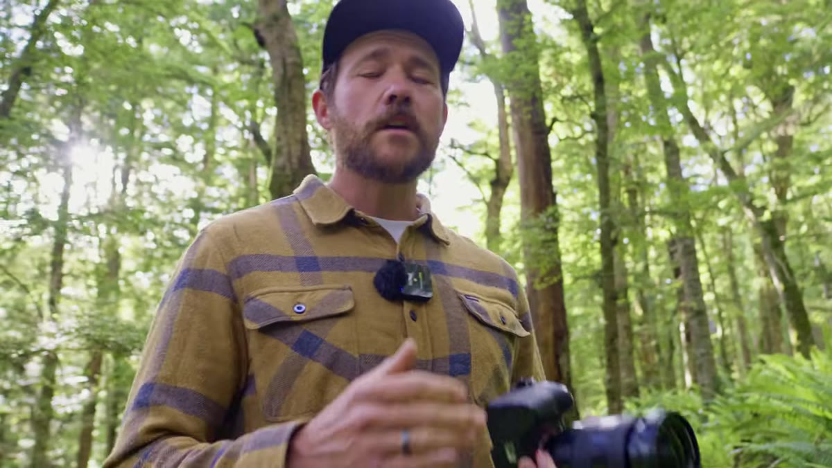 Patino pointing toward distant fern tree in forest