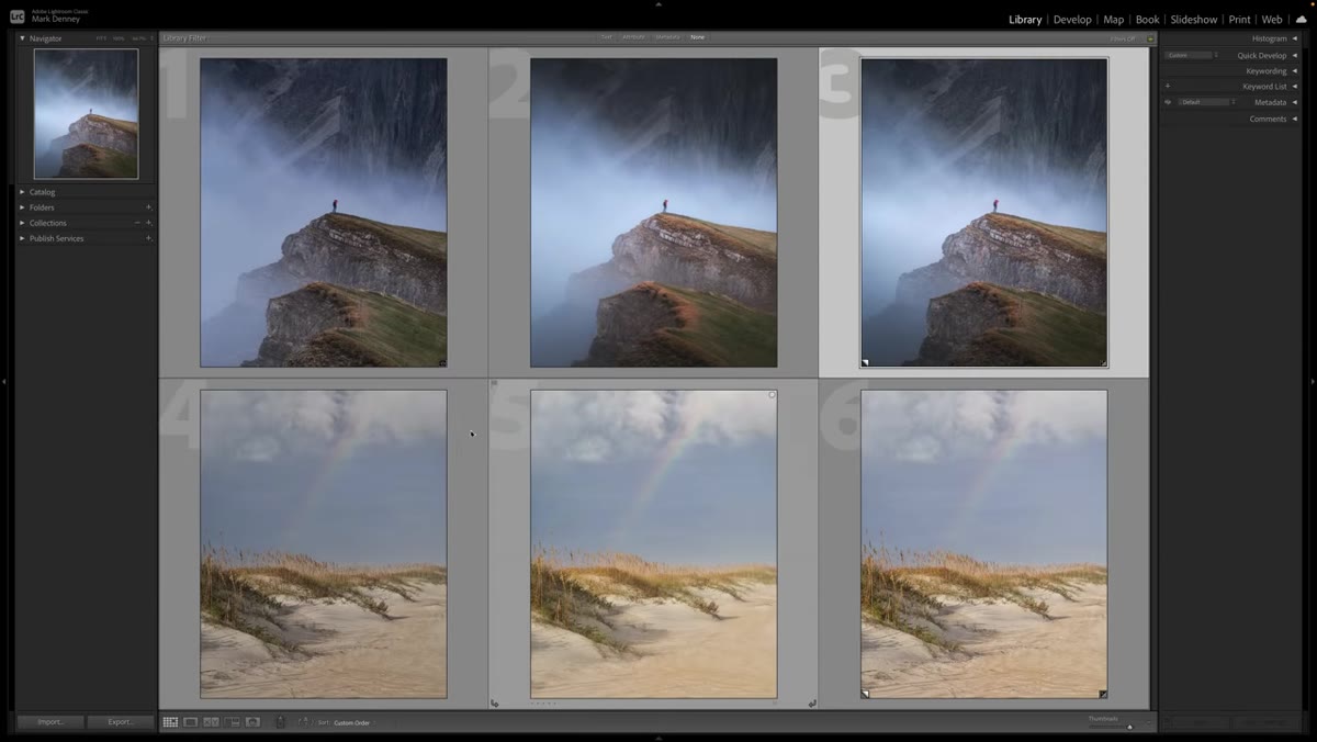 Raw file compared to basic panel adjustments side by side
