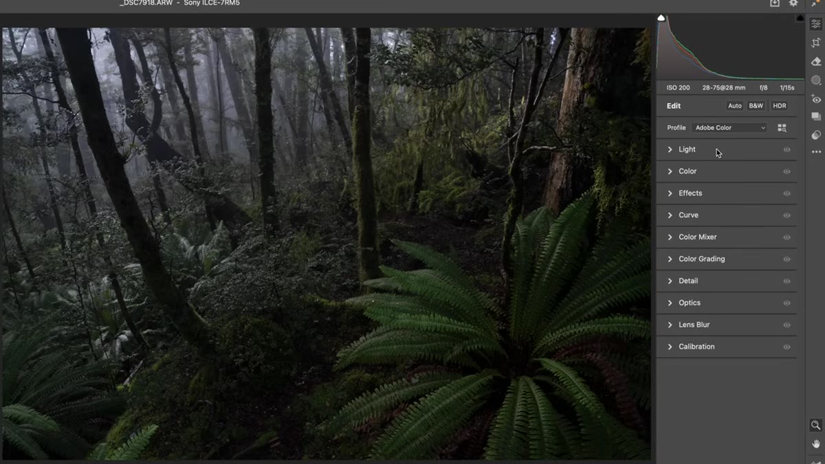 Light panel open, Exposure and Shadows sliders being adjusted