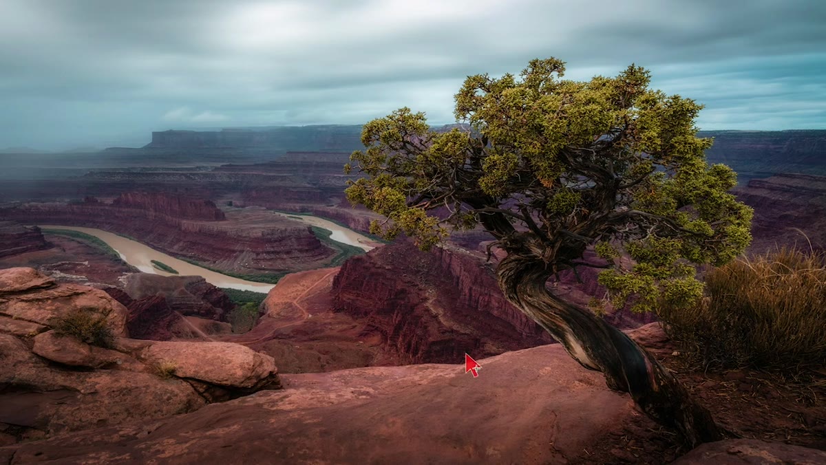 Comparison of standing height versus low angle composition