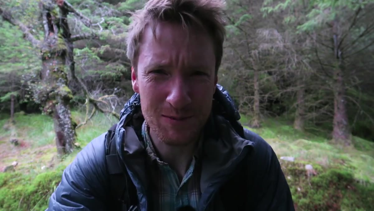 Heaton looking at green woodland, noting absence of autumn color
