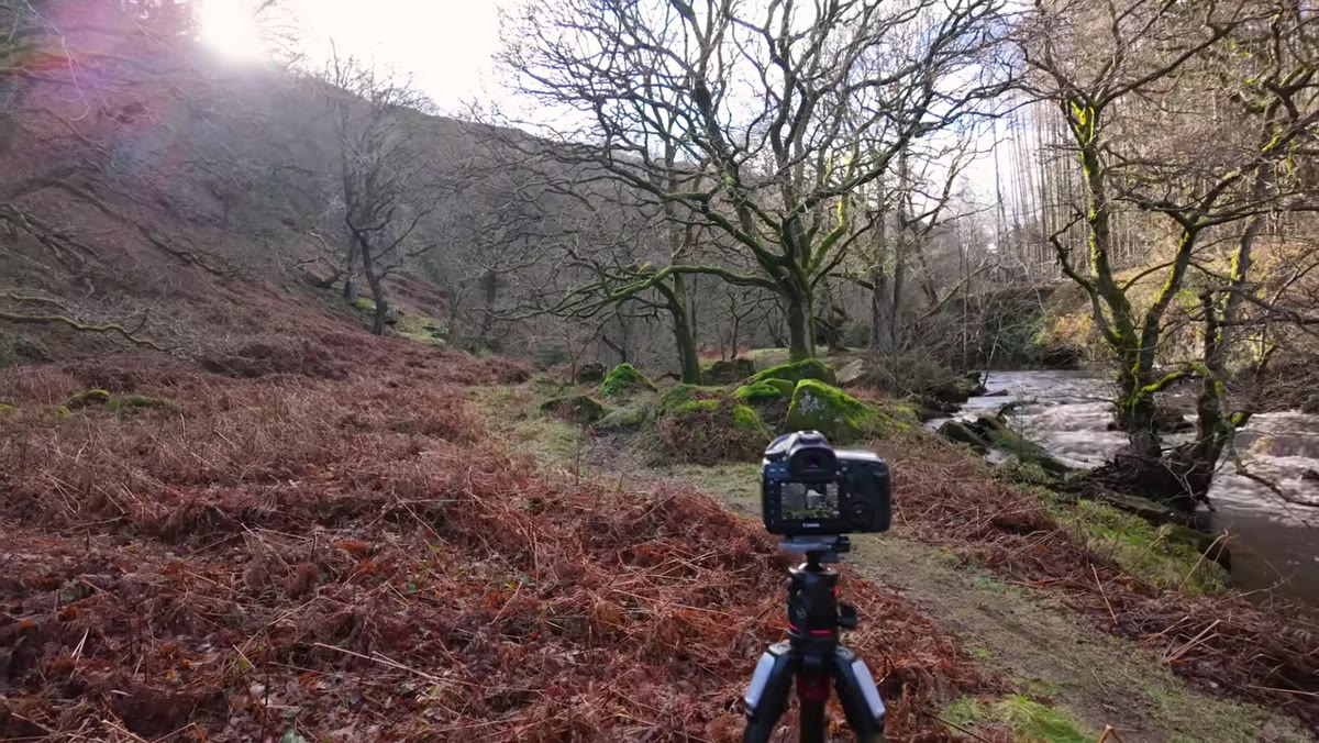 Camera lowered and zoomed to 70mm, path excluded from frame