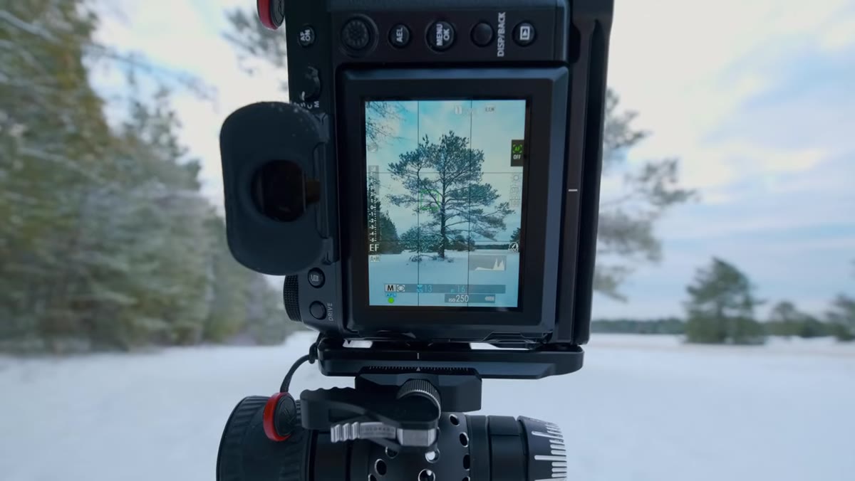 Tree placed near center frame, textured sky above