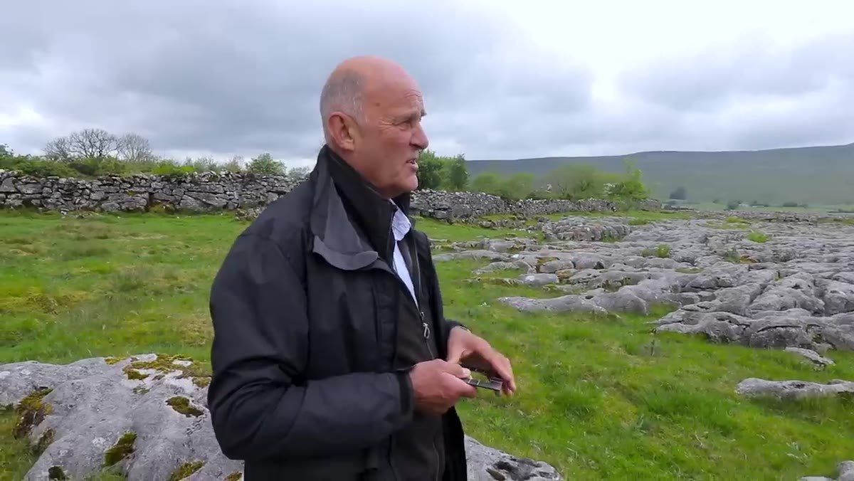 Tree and limestone foreground with Waite describing compositional connection