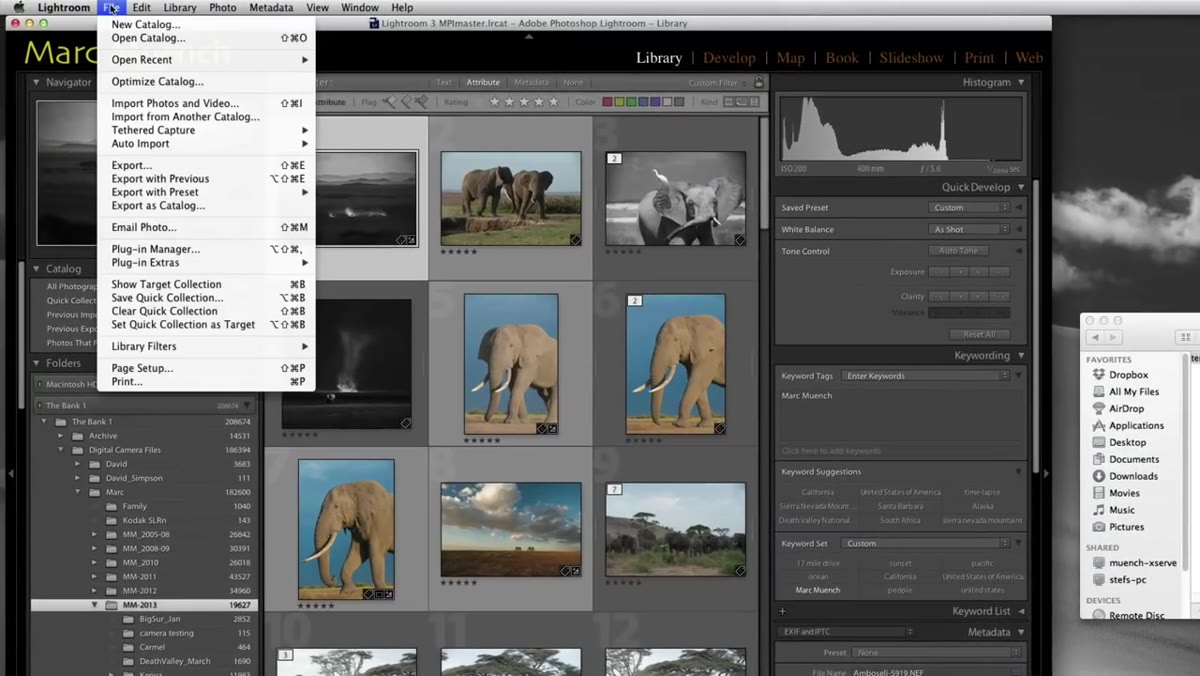 Lightroom import screen with DMG file workflow visible