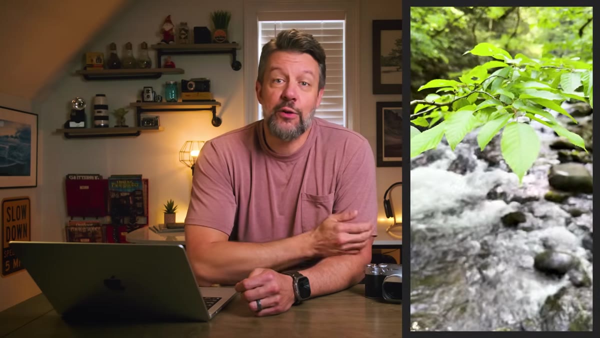 Photographer walking through forest without raising the camera