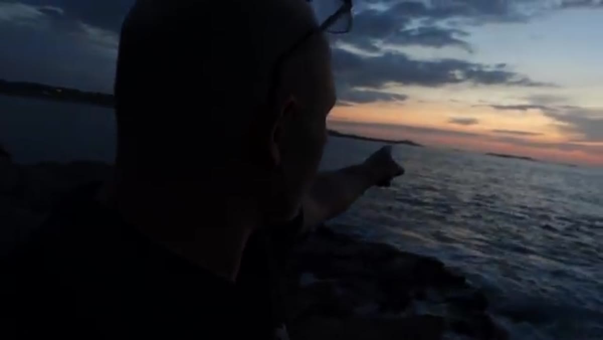 Drone footage tracking dolphins moving through bay water