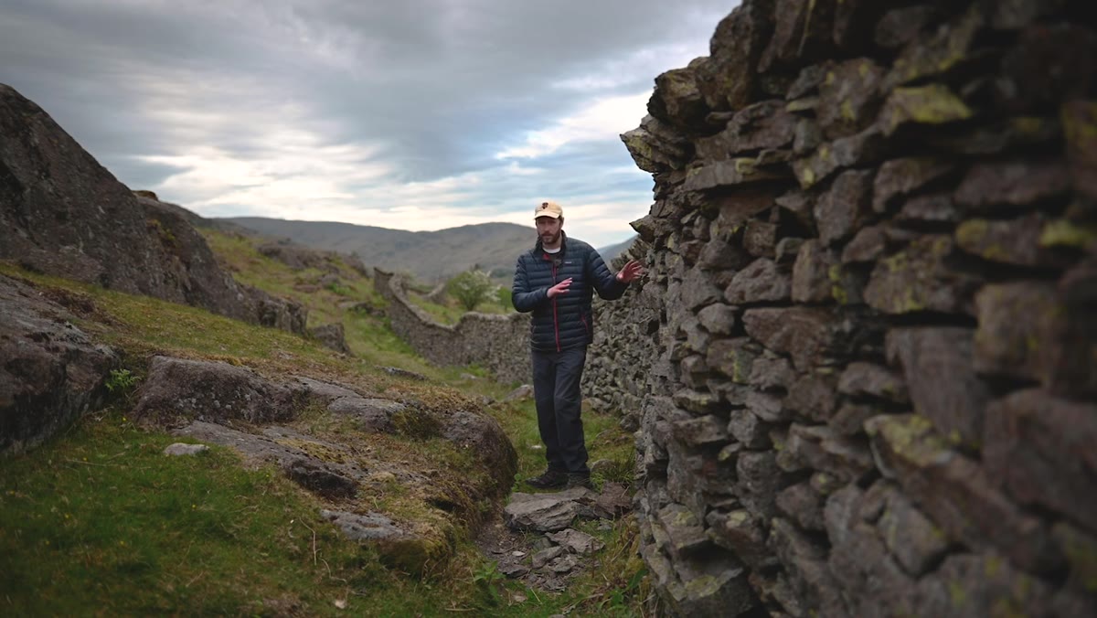 Danson walking alongside a dry stone wall with blossoming trees