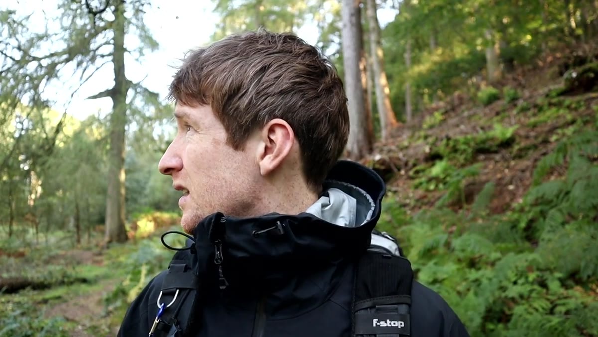 Lightroom or editing software open with woodland RAW file