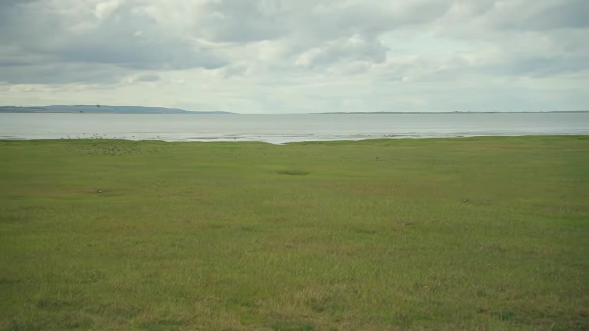 Closed beach signage on Northumberland nature reserve