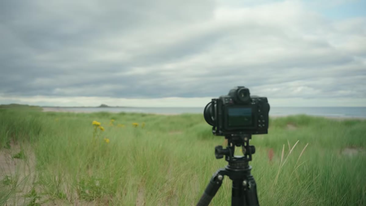 Thomas setting F16 and ISO 500 for windy foreground grass