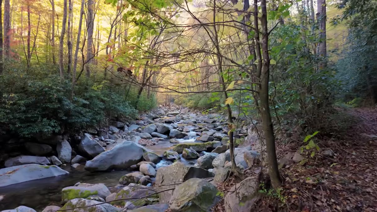 Mark showing harsh overhead sunlight on fall foliage by the river