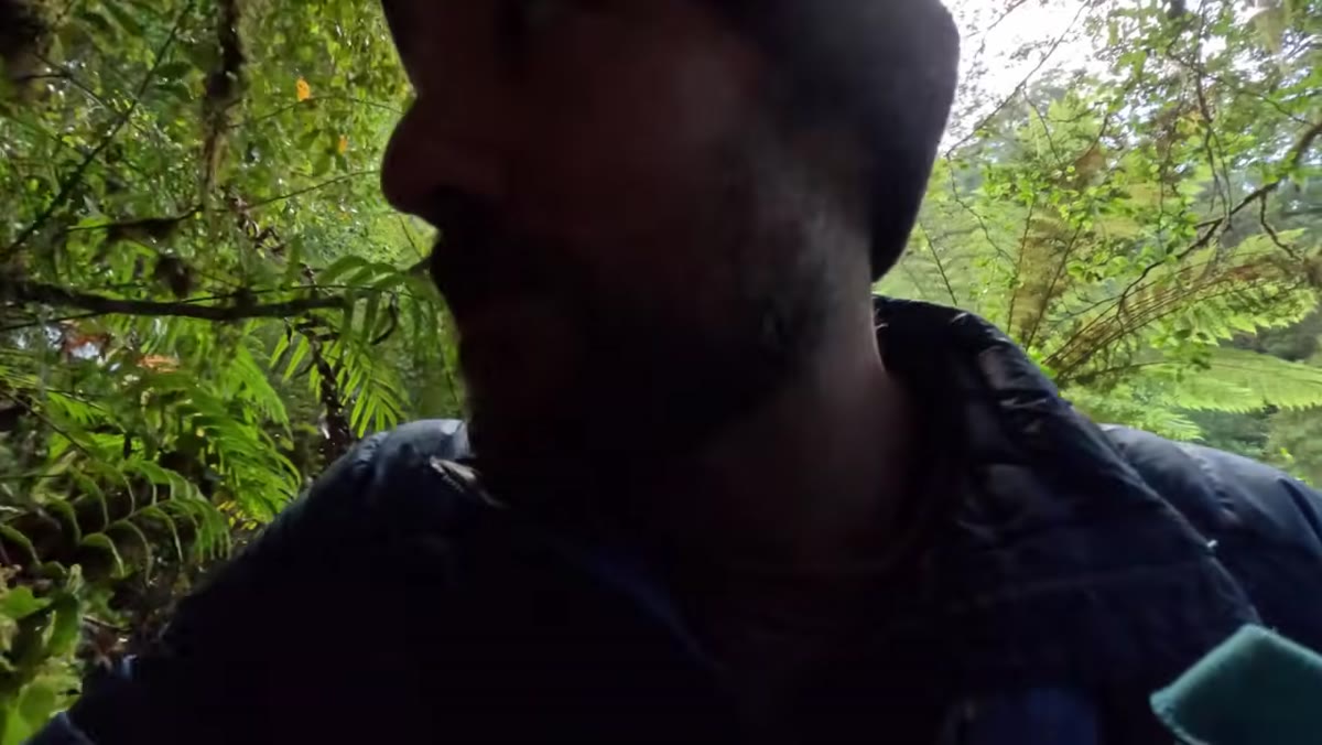 Patino noting large tree cutting across lower waterfall