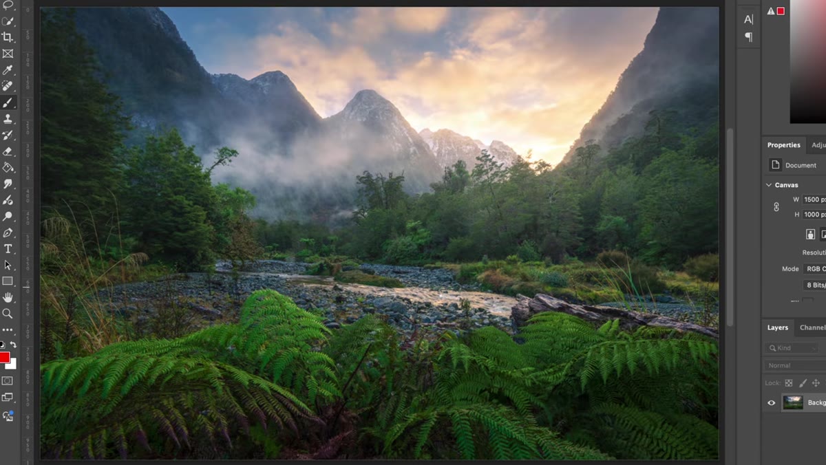 Wide landscape with fern foreground, mountains behind, focus zone indicated in midground