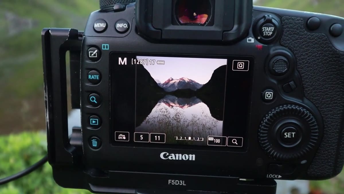 Camera framed with tall grasses approximately one foot from the lens