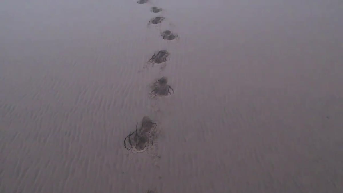Photographer looking back across dunes, evaluating where footprints have disrupted sand