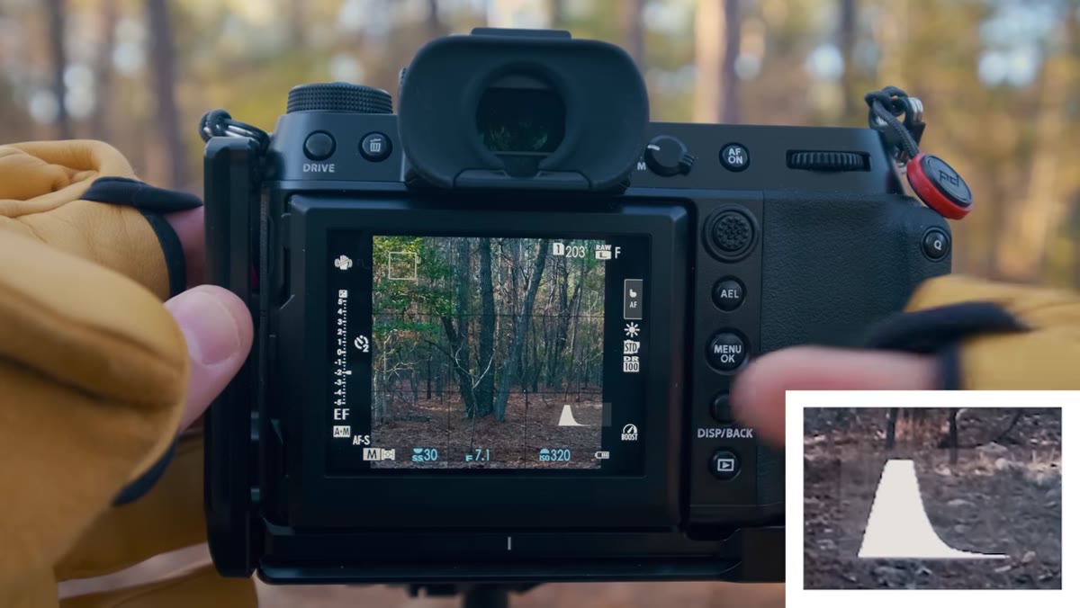 Camera histogram display showing data pushed to left side