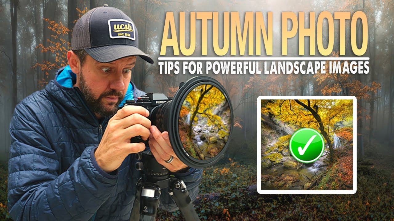 What Fall Light Actually Does to Leaves (And How to Use That Against It)
