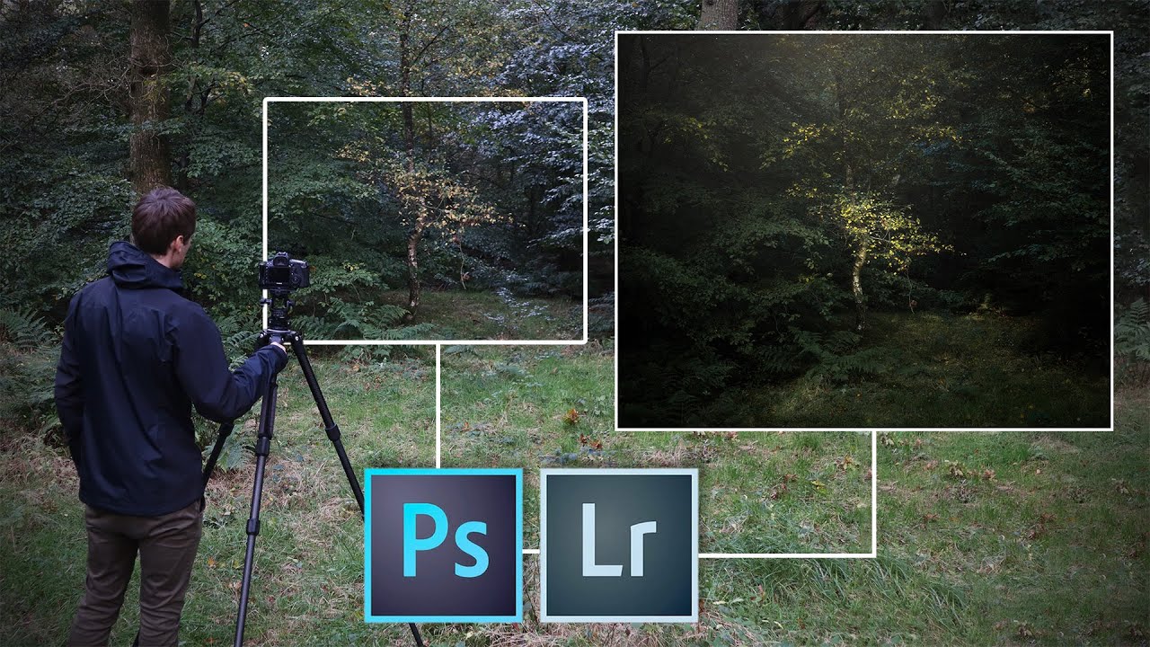 When the Light Won't Come to You: Creating Atmosphere in Post from Flat Woodland Shots