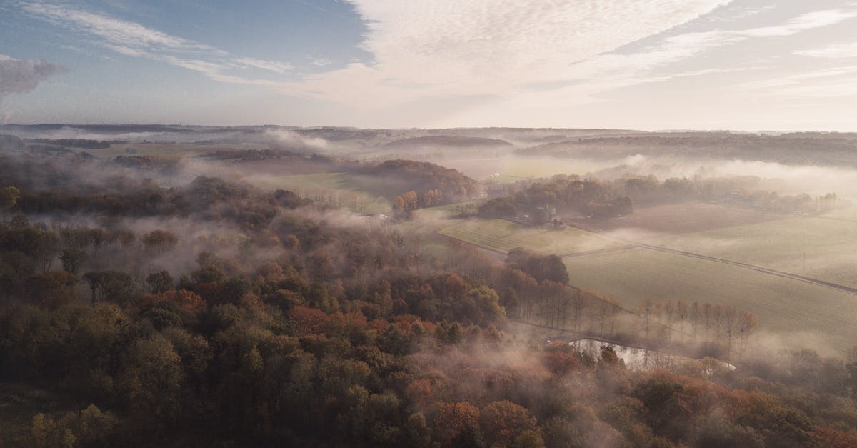 When the Wild Chooses: What This Year's People's Choice Wildlife Winner Reveals About Nature Photography