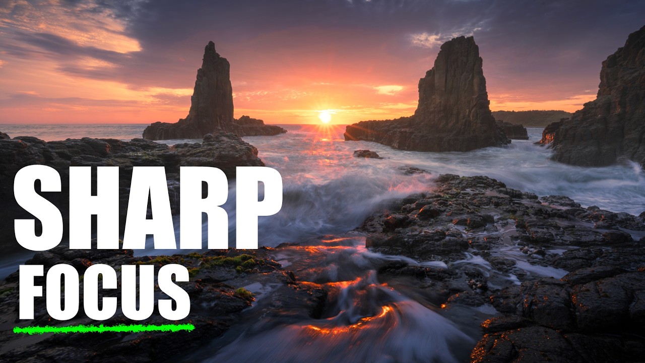 Where to Focus in Landscape Photography: A Field Guide to Sharp Images Front to Back