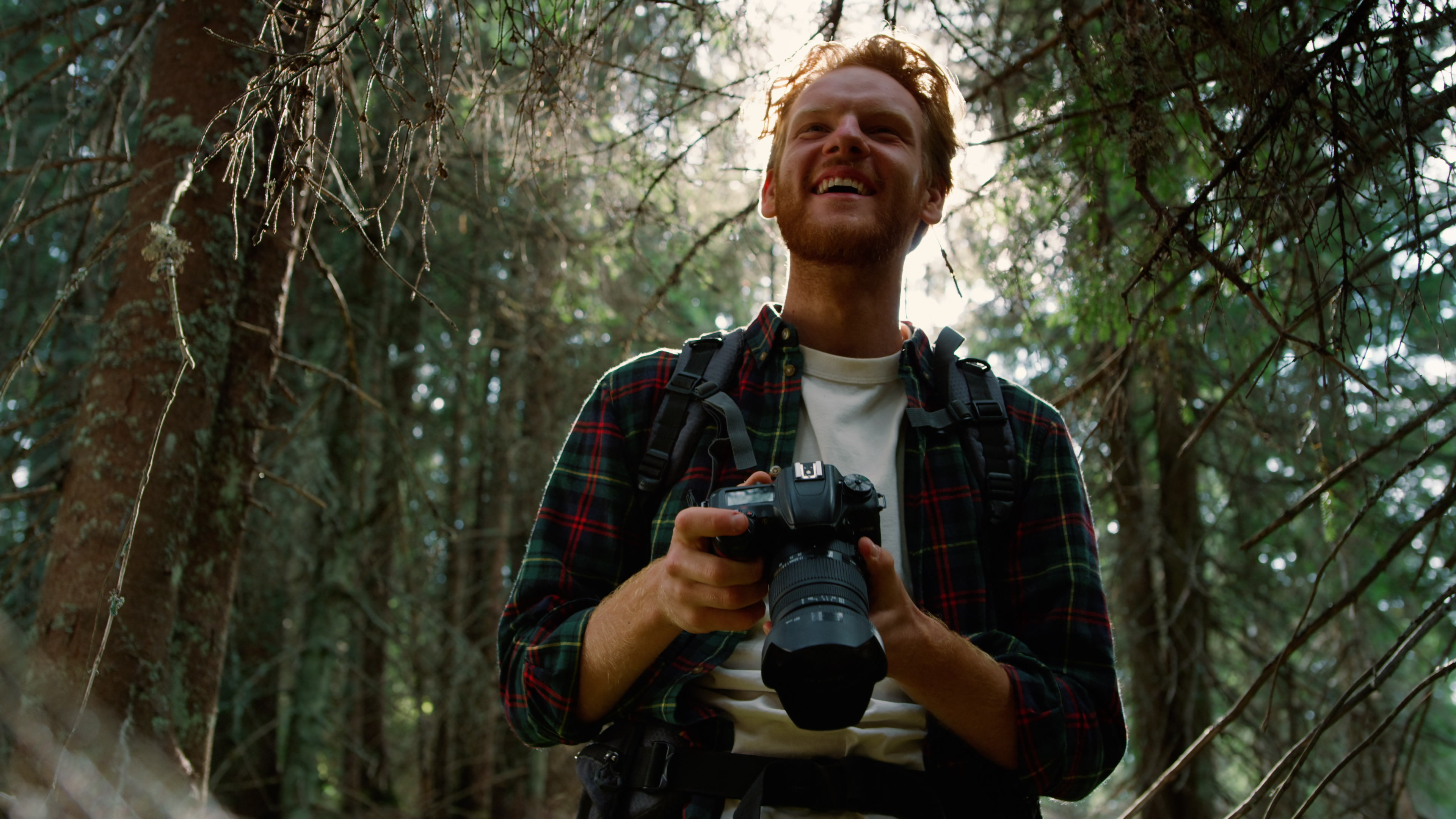 Why Your Forest Photos Look Flat (And What the Light Is Actually Doing)
