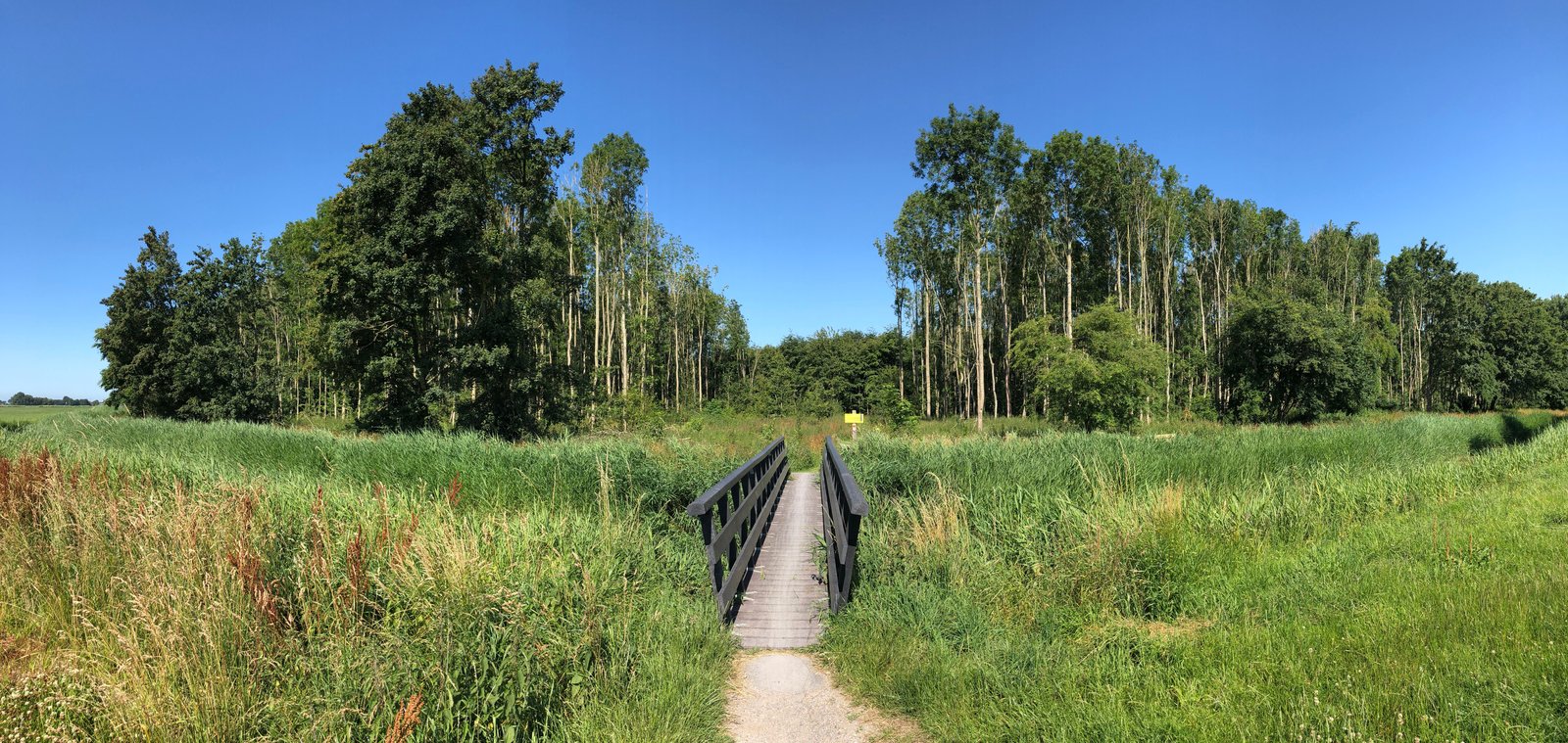 Why Your Panoramas Look Wrong (And How I Fixed Mine After Years of Doing It Badly)